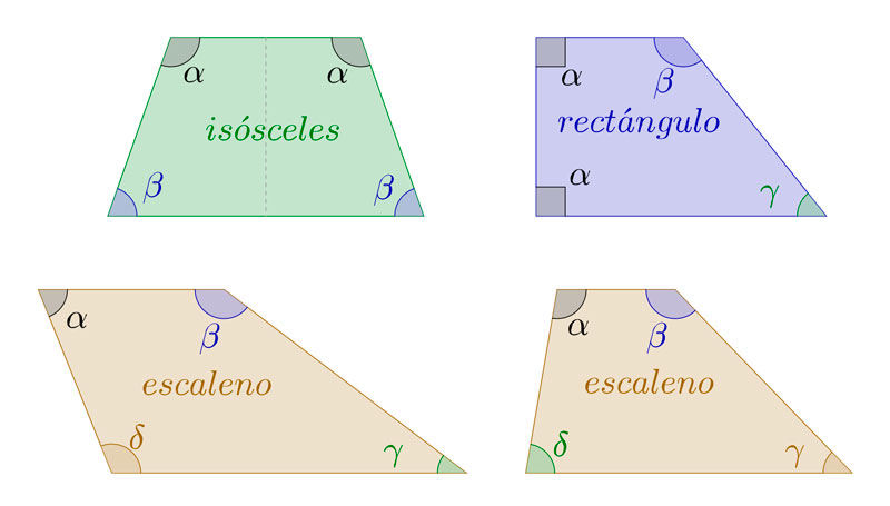 Clasificación de los trapecios, isósceles, rectángulo y escaleno