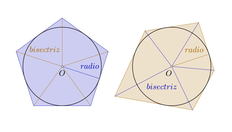 Polígonos circunscritos, regulares e irregulares